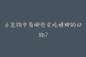 小宠物中有哪些会吃蟑螂的动物?