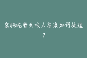 宠物吃骨头咬人应该如何处理？