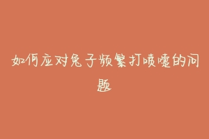 如何应对兔子频繁打喷嚏的问题