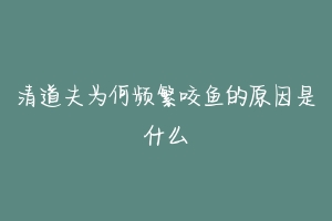 清道夫为何频繁咬鱼的原因是什么