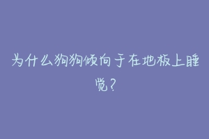 为什么狗狗倾向于在地板上睡觉?