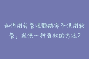 如何用针管喂鹦鹉而不使用软管,提供一种有效的方法?-动物百科