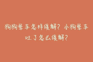 狗狗晕车怎样缓解?小狗晕车吐了怎么缓解?