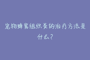宠物蜂窝组织炎的治疗方法是什么?