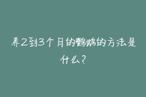 养2到3个月的鹦鹉的方法是什么?-动物百科