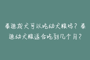 泰迪成犬可以吃幼犬粮吗?泰迪幼犬粮适合吃到几个月?