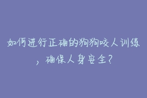 如何进行正确的狗狗咬人训练,确保人身安全?