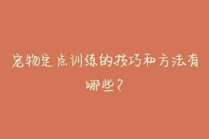 宠物定点训练的技巧和方法有哪些?