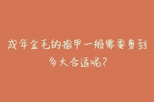 成年金毛的指甲一般需要剪到多大合适呢?
