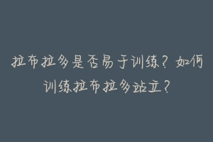 拉布拉多是否易于训练?如何训练拉布拉多站立?