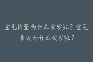 金毛肉垫为什么会发红?金毛鼻头为什么会发红?