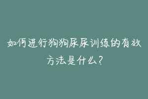 如何进行狗狗尿尿训练的有效方法是什么?