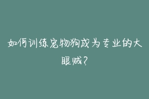 如何训练宠物狗成为专业的大眼贼?