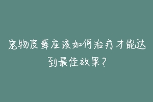 宠物皮藓应该如何治疗才能达到最佳效果?