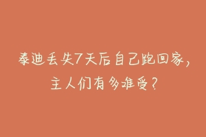 泰迪丢失7天后自己跑回家,主人们有多难受?