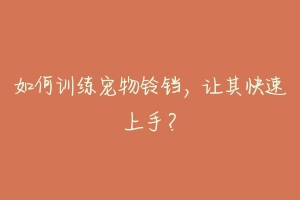 如何训练宠物铃铛,让其快速上手?