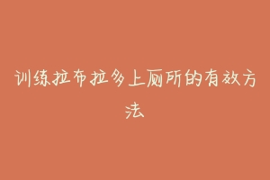 训练拉布拉多上厕所的有效方法