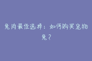 兔肉最佳选择:如何购买宠物兔?