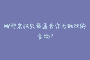 哪种宠物虫最适合作为蚂蚁的食物？-动物百科