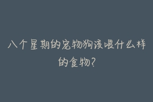 八个星期的宠物狗该喂什么样的食物?