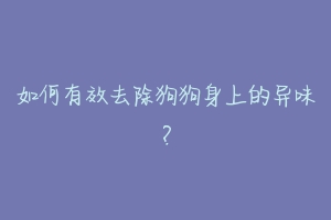 如何有效去除狗狗身上的异味?