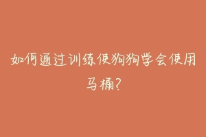 如何通过训练使狗狗学会使用马桶?