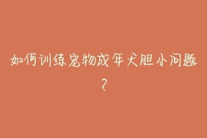 如何训练宠物成年犬胆小问题?-动物百科