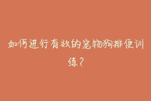 如何进行有效的宠物狗排便训练?-动物百科