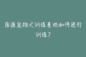 南通宠物犬训练基地如何进行训练?