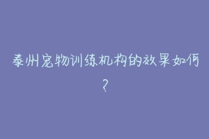 泰州宠物训练机构的效果如何?