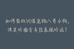 如何有效训练宠物八哥小狗,使其听指令并且表现听话?-动物百科