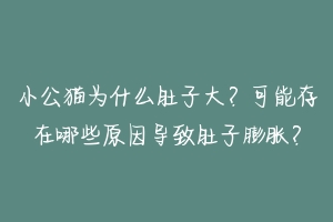 小公猫为什么肚子大？可能存在哪些原因导致肚子膨胀？