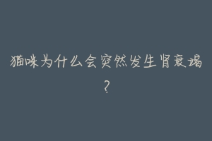 猫咪为什么会突然发生肾衰竭?