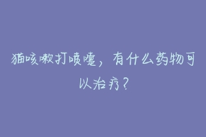 猫咳嗽打喷嚏,有什么药物可以治疗?
