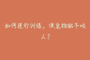 如何进行训练，使宠物貂不咬人？-动物百科