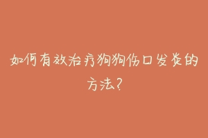 如何有效治疗狗狗伤口发炎的方法?