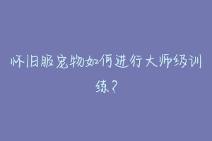 怀旧服宠物如何进行大师级训练?