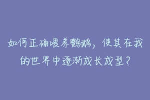 如何正确喂养鹦鹉,使其在我的世界中逐渐成长成型?-动物百科