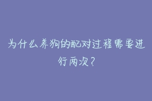 为什么养狗的配对过程需要进行两次？-动物百科