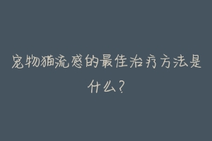 宠物猫流感的最佳治疗方法是什么?