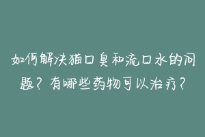 如何解决猫口臭和流口水的问题?有哪些药物可以治疗?