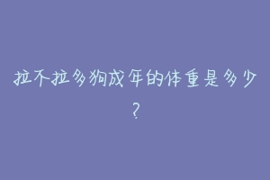 拉不拉多狗成年的体重是多少?