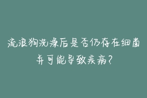 流浪狗洗澡后是否仍存在细菌并可能导致疾病?