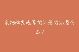 宠物幼兔吃草的训练方法是什么?
