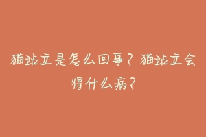 猫站立是怎么回事？猫站立会得什么病？