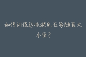 如何训练边牧避免在家随意大小便?