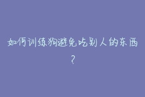 如何训练狗避免吃别人的东西?