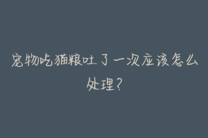 宠物吃猫粮吐了一次应该怎么处理?