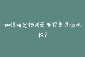 如何将宠物训练变得更有趣味性?