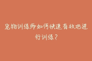 宠物训练师如何快速有效地进行训练?